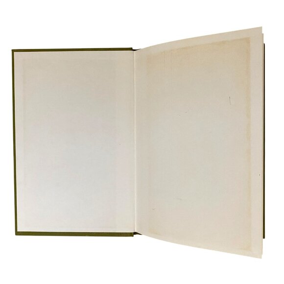 The Cat and the Flying Machine Hardcover Laszlo Kubinyi Middle Grade Fiction - Picture 3 of 7